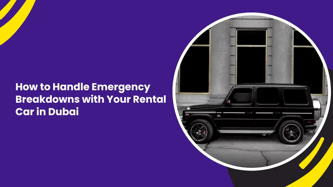 rental car_blogs