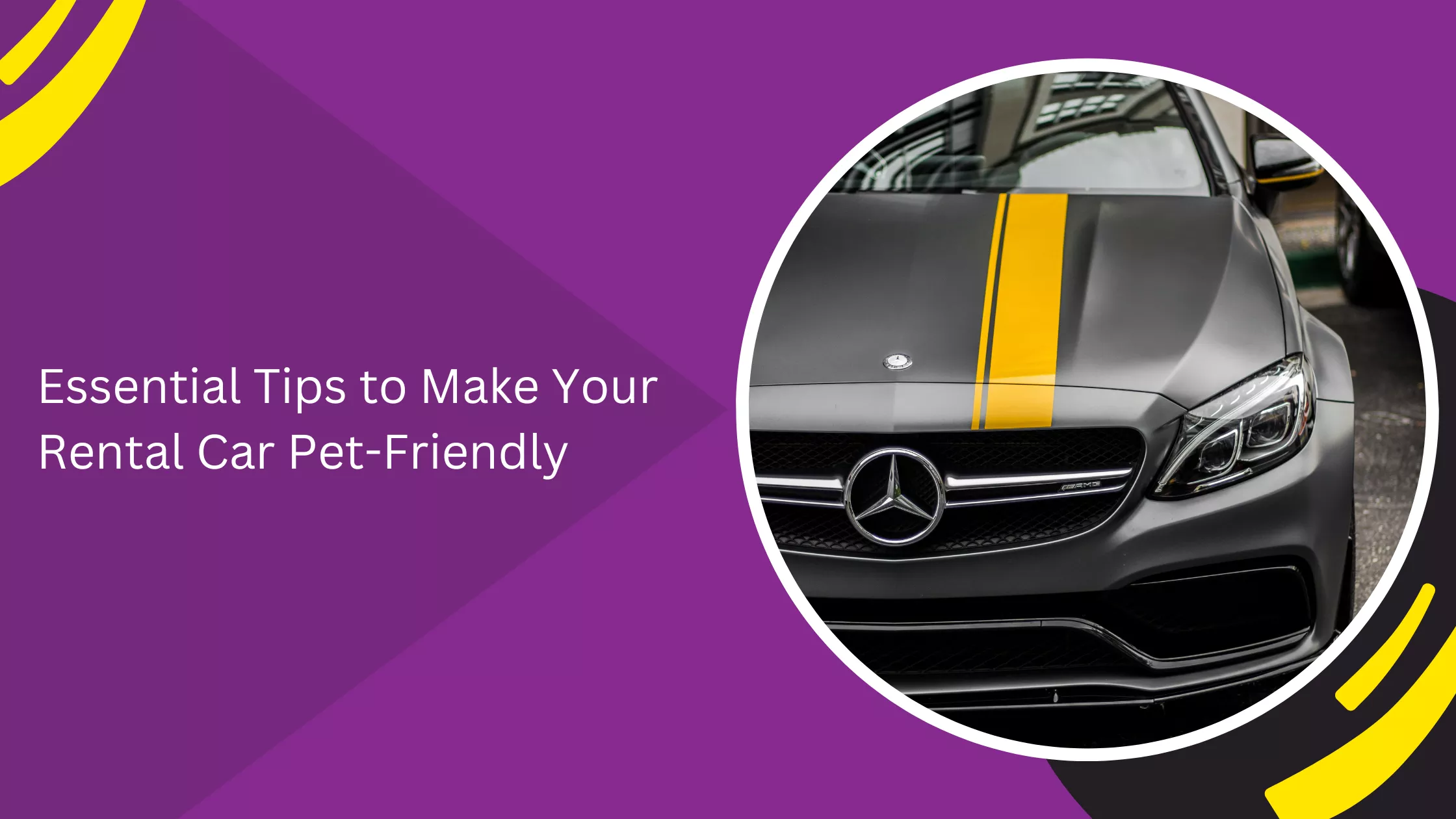 Essential Tips to Make Your Rental Car Pet-Friendly