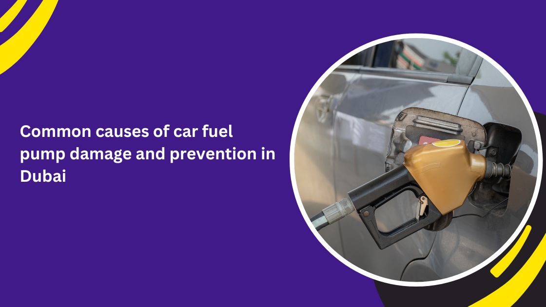 inexpensive monthly car rental_blogs